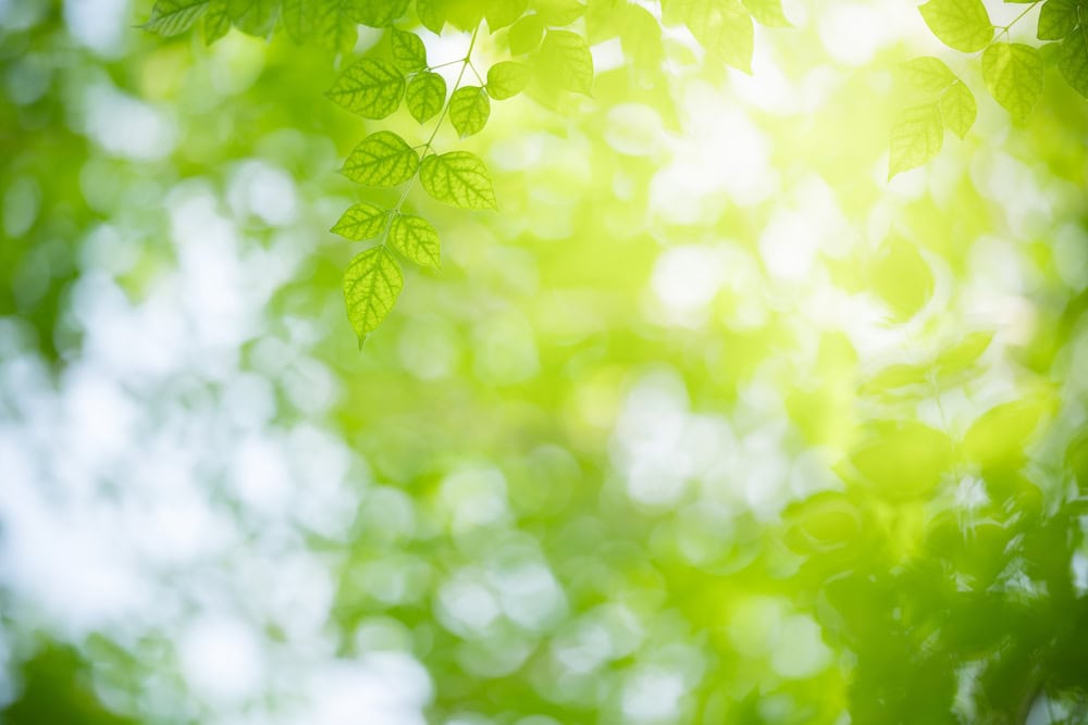 プロフィール背景画像