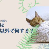 寝る前にスマホ以外で何するのか知りたい!スマホを手放しつつ暇を潰せる方法4つ